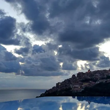 팜스테이 Cally Cally 니코테라 마리나