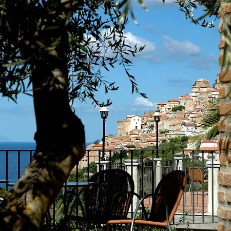 Cally Cally 팜스테이