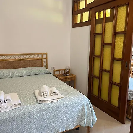 Cally Cally 팜스테이