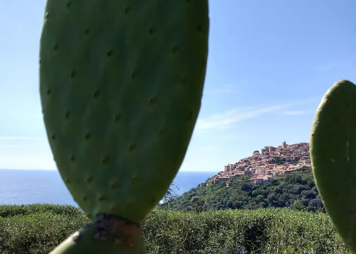 בית חווה Cally Cally