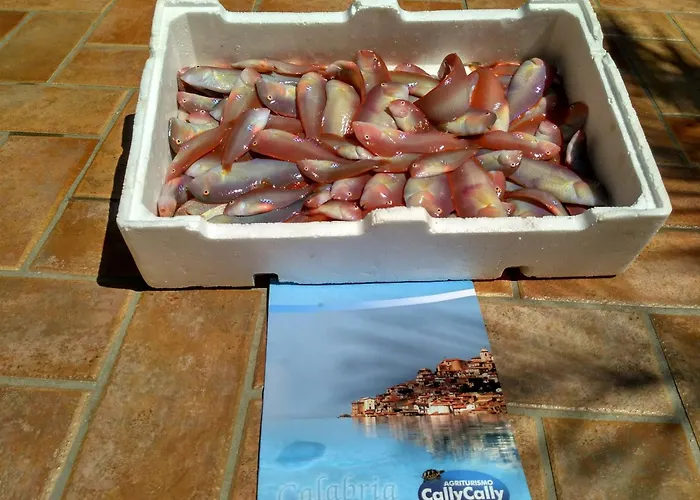 Cally Cally בית חווה *