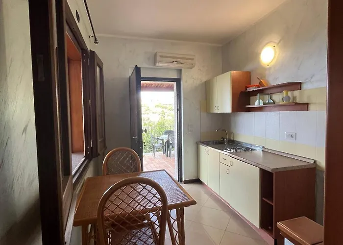 Cally Cally ניקוטרה