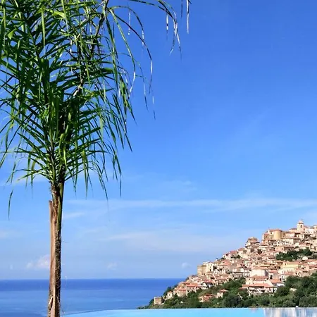 Cally Cally Nicotera