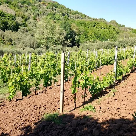 Cally Cally Alloggio per agriturismo