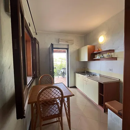 Cally Cally Nicotera