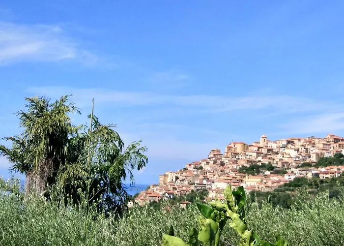 Alojamento de Turismo Rural Cally Cally *