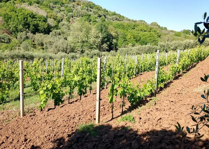 Cally Cally Alojamento de Turismo Rural