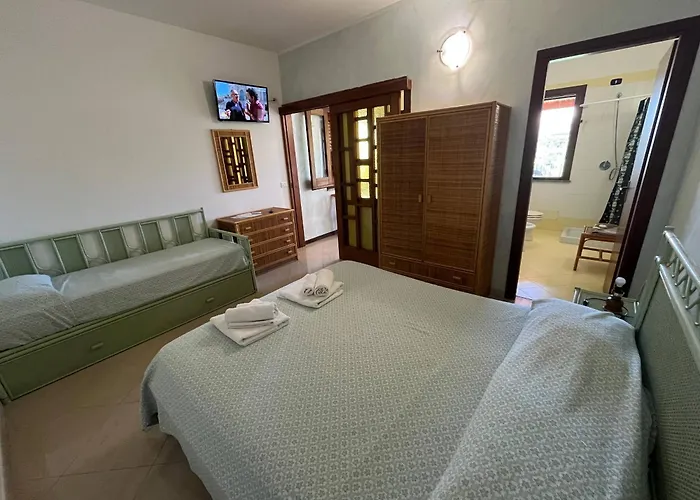 Cally Cally * ניקוטרה