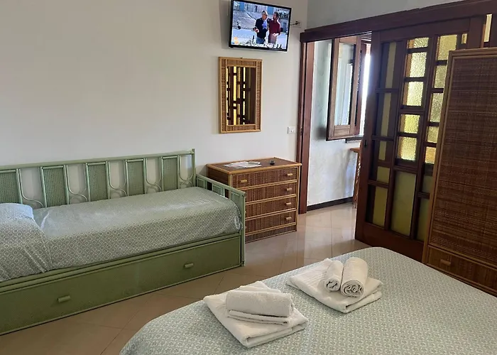 Cally Cally * ניקוטרה